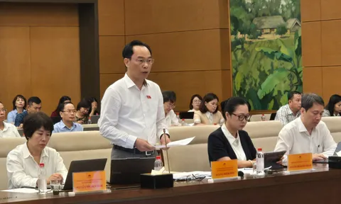 Làm rõ thực trạng, nguyên nhân, trách nhiệm và hướng xử lý các vấn đề lớn của ngành giáo dục