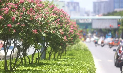 Thời tiết hôm nay (23-9): Bắc Bộ ngày nắng, Trung Bộ và Nam Bộ có mưa to