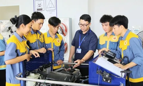 Rà soát cơ sở giáo dục đặc thù để sắp xếp, tổ chức lại