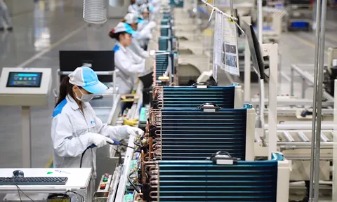 Quy định mới về tuyển dụng, quản lý lao động Việt Nam làm việc cho tổ chức, cá nhân nước ngoài