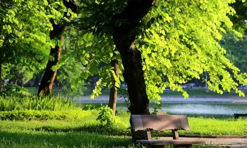 Thời tiết hôm nay (1-10): Bắc Bộ nhiều nơi nắng nóng