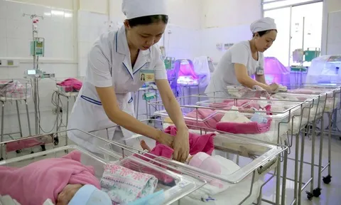 Đề xuất hỗ trợ tiền, hiện vật và khen thưởng để khuyến sinh