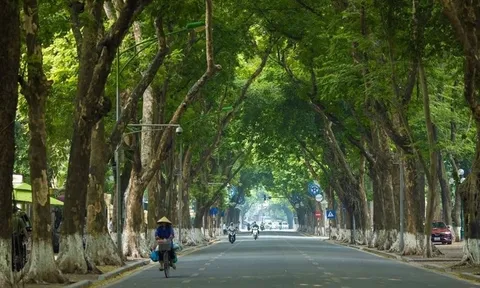 Thời tiết hôm nay (2-10): Bắc Bộ giảm nóng, Nam Bộ có mưa dông
