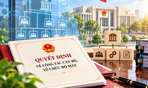 Thủ tướng quyết định nhiều nội dung về công tác cán bộ, tổ chức bộ máy