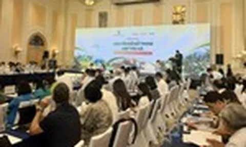 Chuyển đổi số trong Hợp tác xã: Từ dữ liệu sản xuất đến mở rộng thị trường