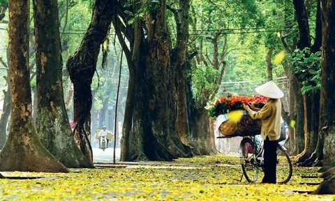 Thời tiết hôm nay (13-10): Bắc Bộ ngày nắng, miền Trung và Nam Bộ có mưa dông