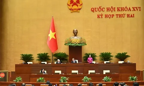 Sửa đổi Luật Dược: Đề xuất cấm kinh doanh thuốc thông qua livestream bán hàng