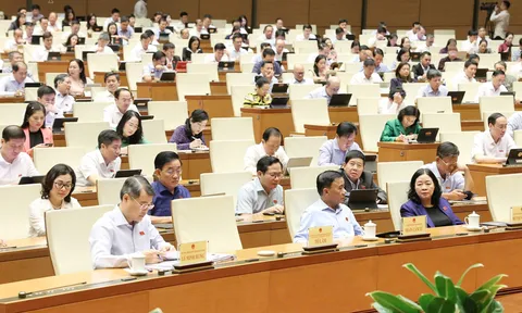 Bổ sung chính sách miễn thuế, điều chỉnh thuế sử dụng đất phi nông nghiệp