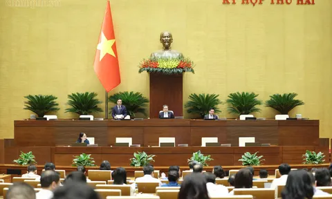Xử lý triệt để tài khoản ảo, lừa đảo trực tuyến, ngăn chặn giả mạo sinh trắc học tinh vi
