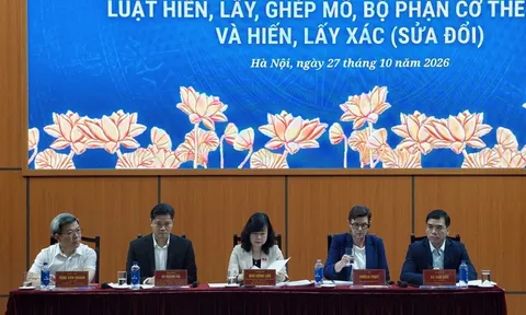 Bộ Y tế làm rõ đề xuất hiến mô, bộ phận cơ thể ở người dưới 18 tuổi