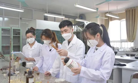 Đề xuất quy định về nhóm nghiên cứu tiềm năng, nhóm nghiên cứu mạnh trong cơ sở giáo dục đại học