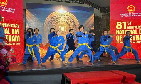 Liên đoàn Vovinam - Việt Võ Đạo Pháp biểu diễn nhân lễ Quốc khánh Việt Nam tại Cộng hòa Séc.