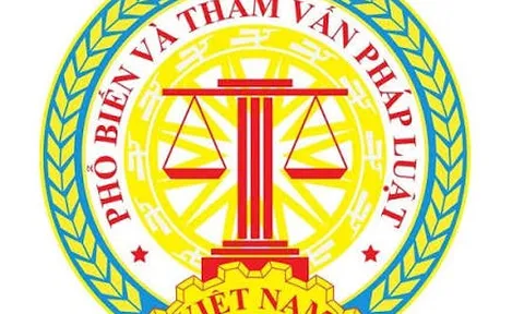 Đình chỉ hoạt động có thời hạn Hội Phổ biến và Tham vấn pháp luật Việt Nam