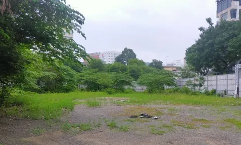 Dự án "kim cương" bỏ hoang giữa trung tâm TPHCM