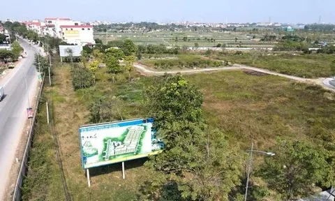 23 dự án vi phạm pháp luật bị Hà Nôi thu hồi