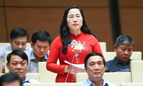 5 chiêu trò phổ biến để lách luật trong hoạt động đấu thầu