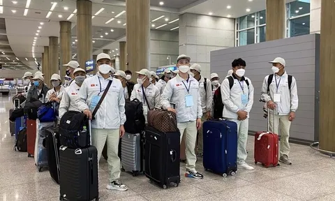 Hàng loạt doanh nghiệp xuất khẩu lao động sắp bị thanh tra