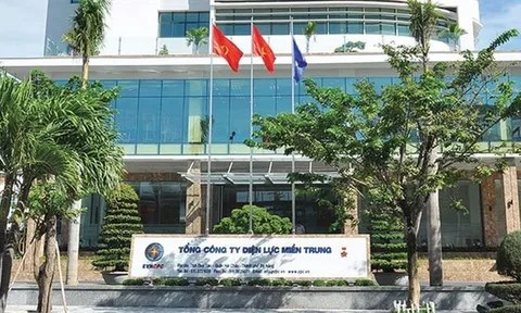 Nhà máy điện gió của Trung Nam Group và nhiều dự án tại Đắk Lắc bị Thanh tra Chính phủ “nhắc tên”