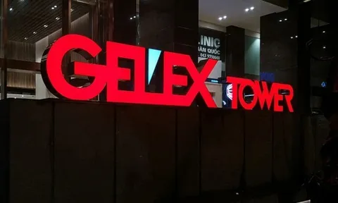 “Bốc hơi” 70% giá trị kể từ đầu năm, con gái Chủ tịch Gelex mua vào 1 triệu cổ phiếu GEX