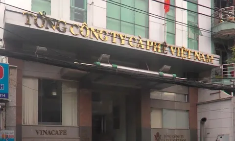 Thanh tra Chính phủ chỉ ra sai phạm của 7 đơn vị thành viên Vinacafe