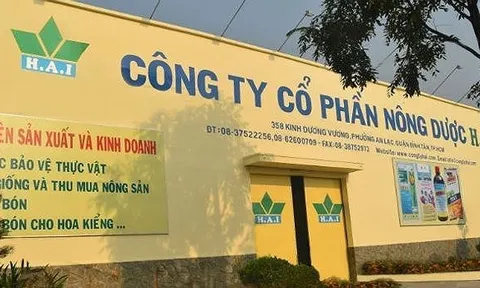 Ủy ban Chứng khoán Nhà nước ra quyết định xử phạt một loạt doanh nghiệp