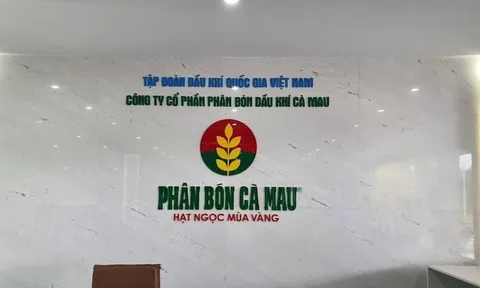 Đạm Cà Mau bị xử phạt và truy thu thuế gần 6,2 tỷ đồng