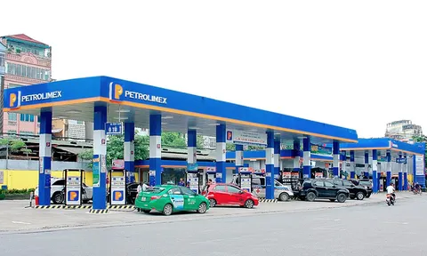 Petrolimex Hà Nội giải trình cổ phiếu PJC bị đưa vào diện cảnh báo là do lỗi khách quan