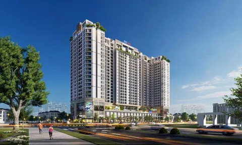 DICcons đã giải ngân 160 tỷ đồng thu được từ đợt chào bán cổ phiếu