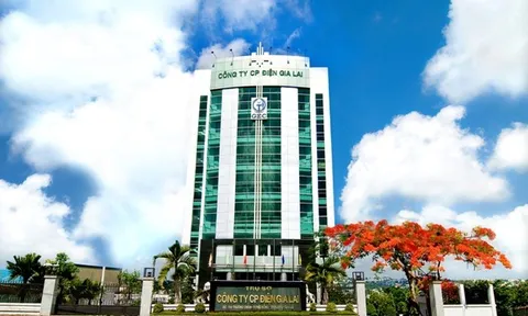 Chỉ trong 10 ngày, Điện Gia Lai giải thể 02 công ty con