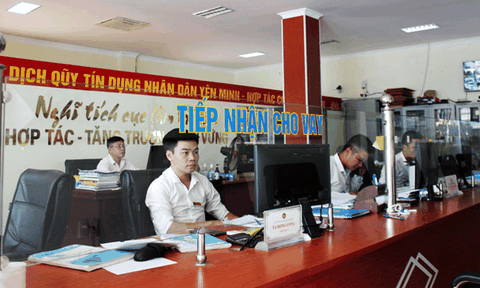 Tăng cường công tác thanh tra, kiểm tra, giám sát toàn diện hoạt động của Quỹ tín dụng nhân dân