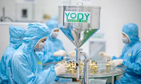 Mỹ phẩm Yody Phương Anh bị thu hồi