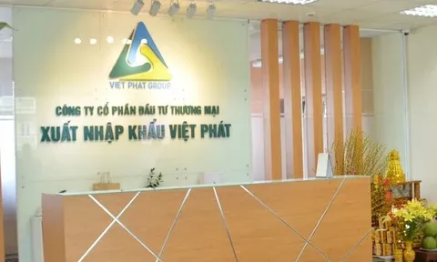 Xuất nhập khẩu Việt Pháp bị phạt 235 triệu đồng do vi phạm công bố thông tin