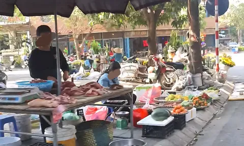Quyết liệt dẹp bỏ chợ "cóc", tụ điểm kinh doanh tự phát và lò mổ nhỏ lẻ