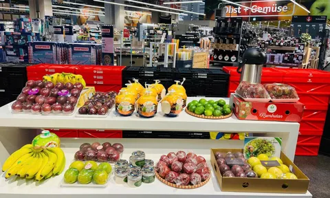 Nông sản Việt Nam tự tin chinh phục hệ thống đại siêu thị Đức