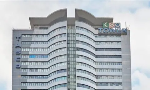 CEO Group: Lợi nhuận tăng 67,58% trên nền dòng tiền âm hơn 379 tỷ đồng