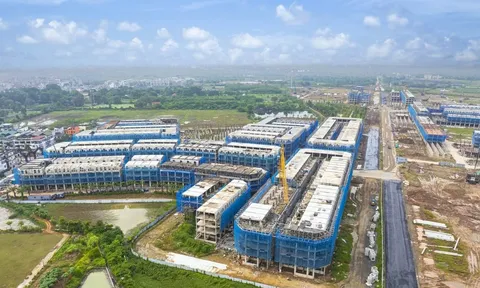 Sunshine Group ghi nhận lợi nhuận Quý II tăng hơn 10.900% nhờ bàn giao các dự án trọng điểm