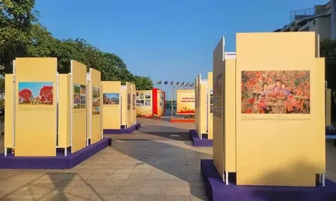 TP.HCM khai mạc chuỗi triển lãm ảnh chào mừng các ngày lễ lớn của đất nước