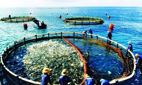 Bộ đội Biên phòng tỉnh Hà Tĩnh: Nhiều biện pháp giữ vững an ninh, bảo vệ nguồn lợi thủy sản