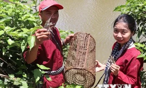 Việt Nam đăng cai tổ chức trực tiếp diễn đàn du lịch Mekong năm 2022