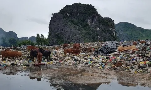 Thanh Hóa: Dân mong sớm xây nhà máy xử lý bãi rác tồn tại hàng thập kỷ