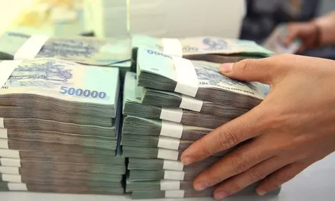 Hướng dẫn xử lý tổn thất tài sản của Quỹ hỗ trợ phát triển hợp tác xã