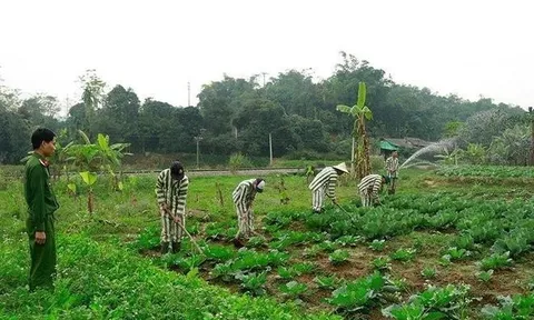 Hà Nội sẵn sàng thực hiện hiệu quả đợt đặc xá tha tù trước thời hạn