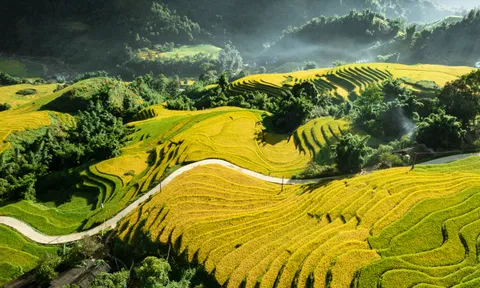 Lên Sa Pa ngắm mùa vàng ruộng bậc thang