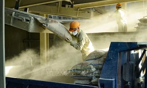 Điều chỉnh giảm sản lượng ximăng vì càng sản xuất càng lỗ