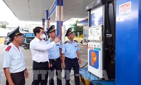Tước giấy phép kinh doanh xuất nhập khẩu của 5 doanh nghiệp xăng dầu