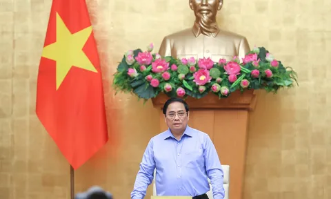 Thủ tướng chủ trì phiên họp Chính phủ thường kỳ tháng 8