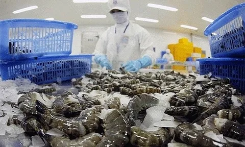 Hoa Kỳ tiếp tục áp thuế chống bán phá giá với tôm nước ấm từ Việt Nam