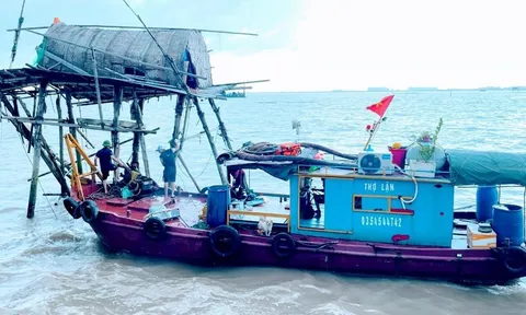 Lập lại kỷ cương trong tổ chức nuôi ngao trên vùng biển Hải Phòng