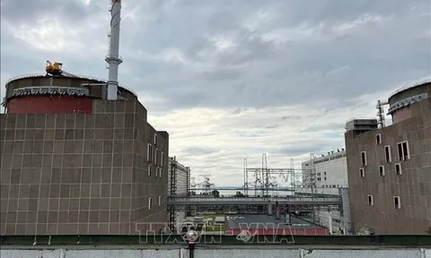 Ban Giám đốc IAEA kêu gọi Nga rời nhà máy điện hạt nhân Zaporizhzhia