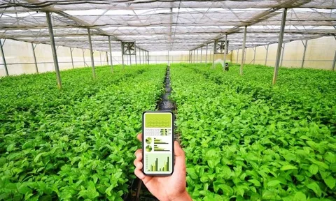 Chuyển đổi số trong nông nghiệp tại Tây Nguyên